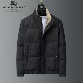 Picture of Burberry Down Jackets _SKUBurberryM-3XL25cn1028698